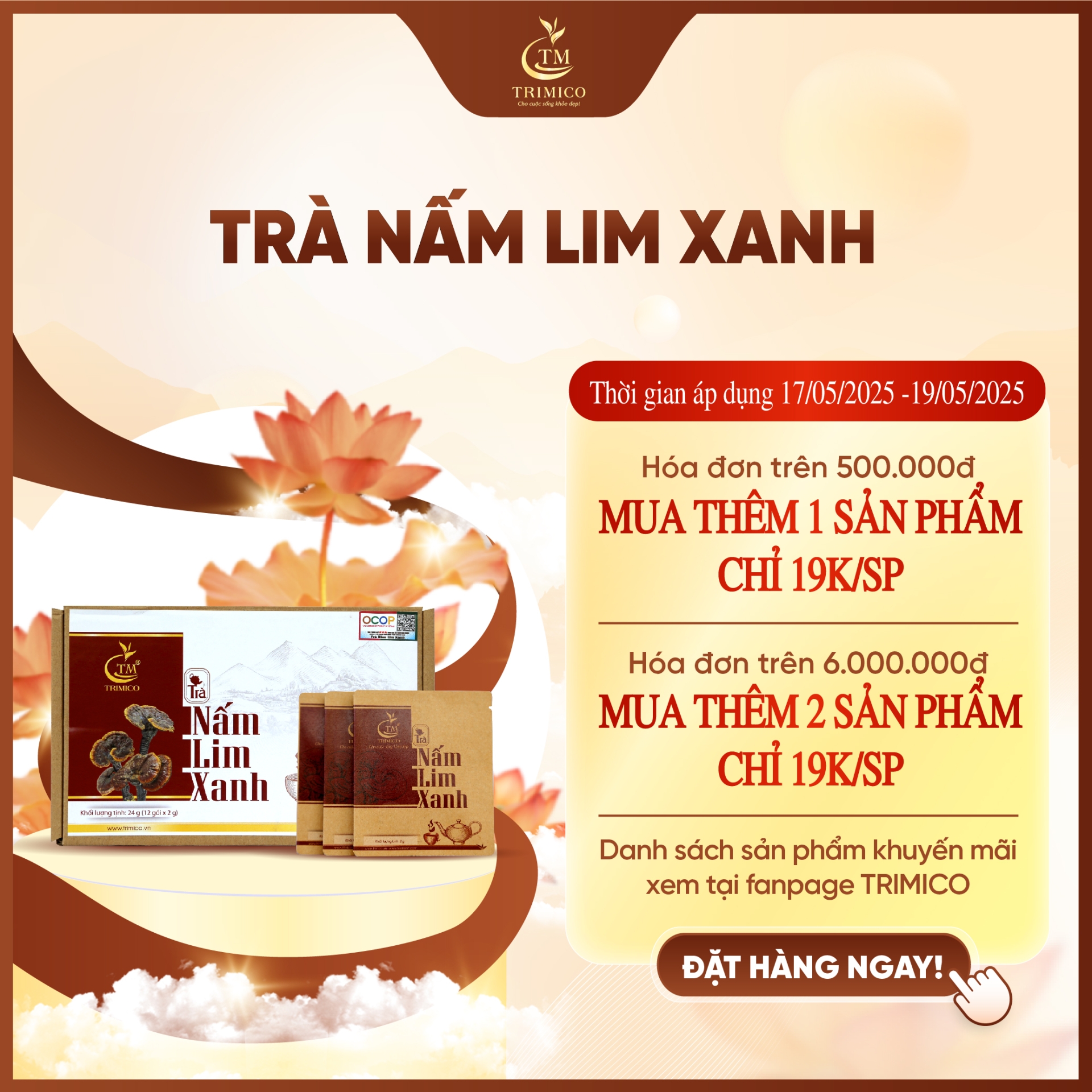Trà Nấm Lim Xanh TRIMICO
